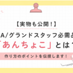【実物も公開！】CA/グランドスタッフ必需品「あんちょこ」とは？作り方のポイントを伝授します！